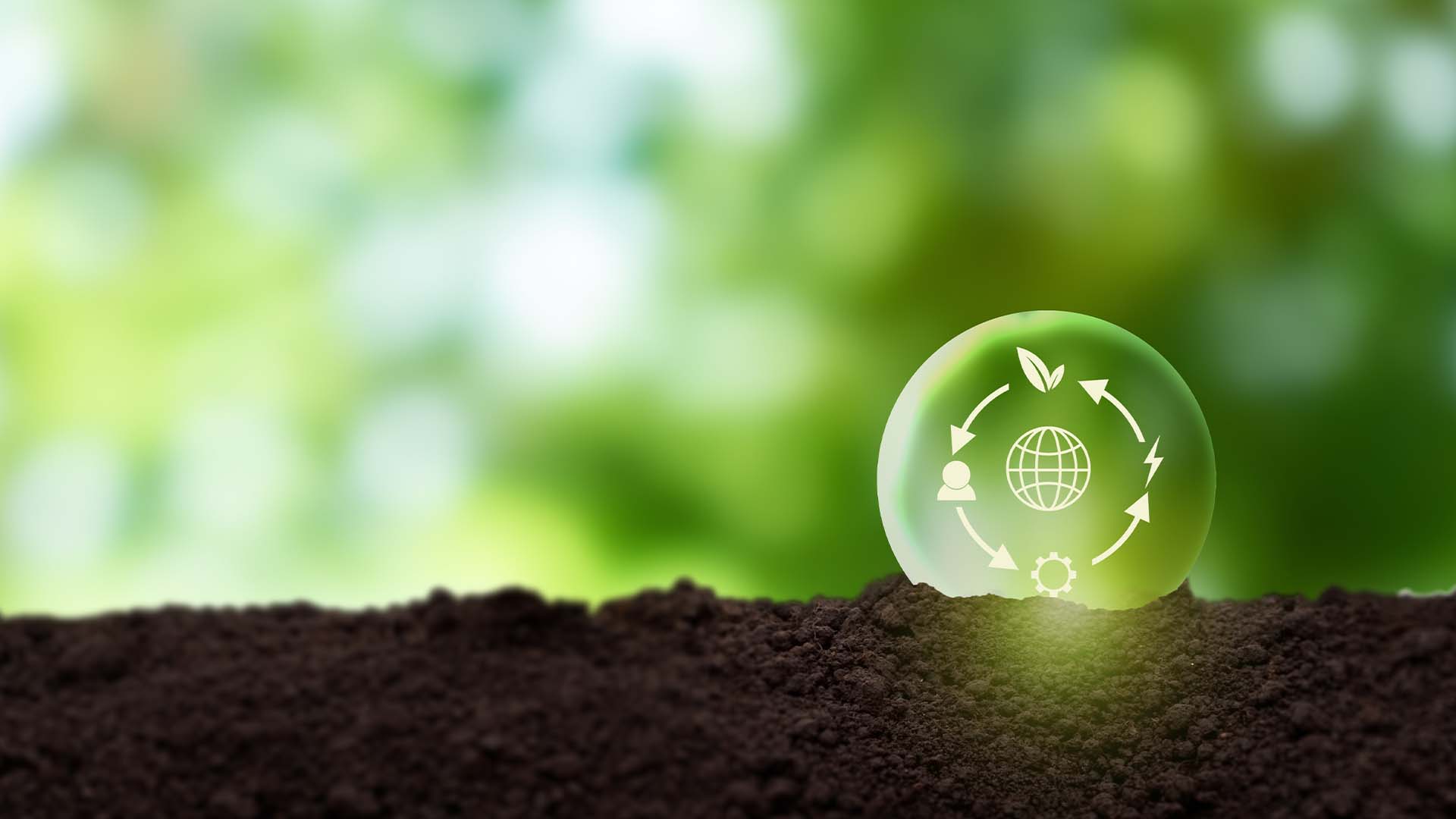 التحليل المالي